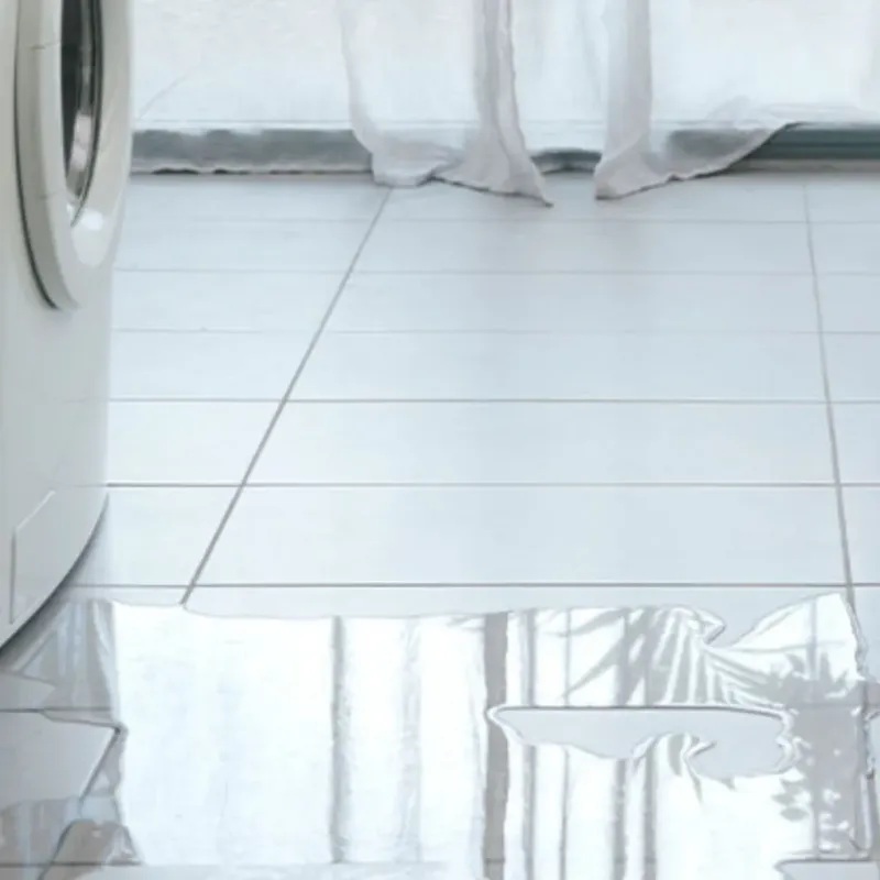 Appliance Leak Cleanup in Woodcreek, TX