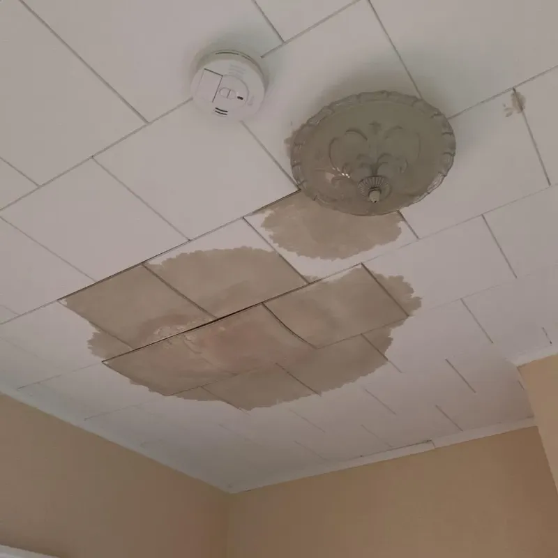 Ceiling Water Damage Repair in Woodcreek, TX